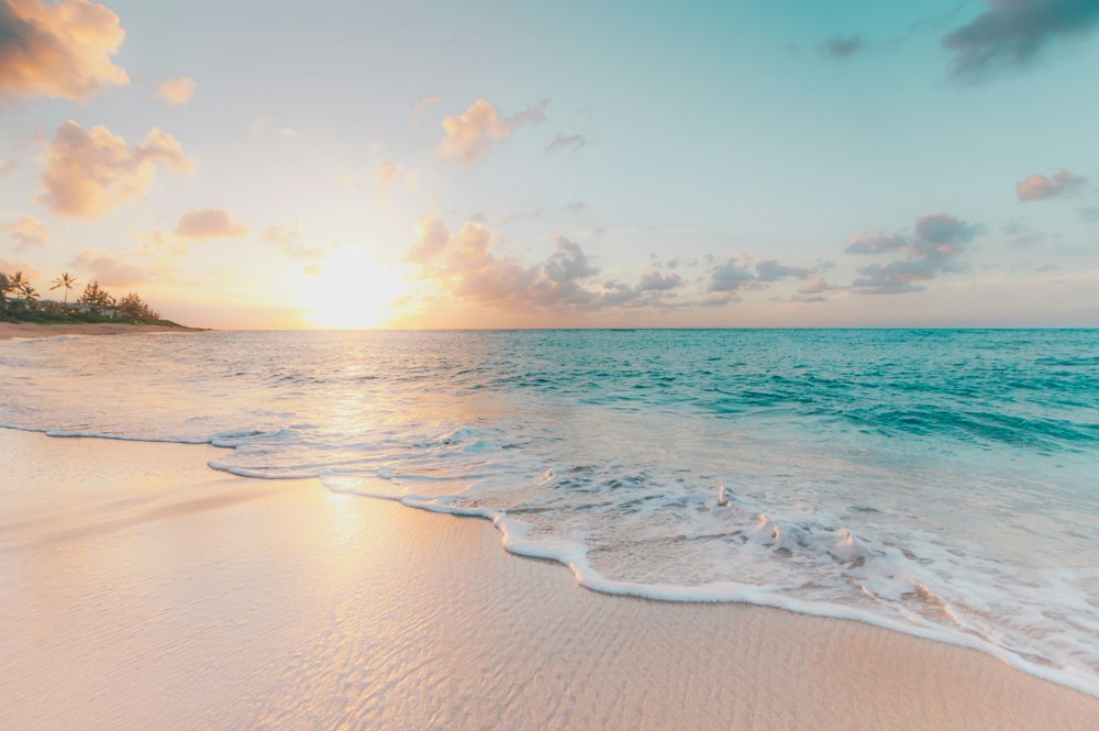 Siargao resort website